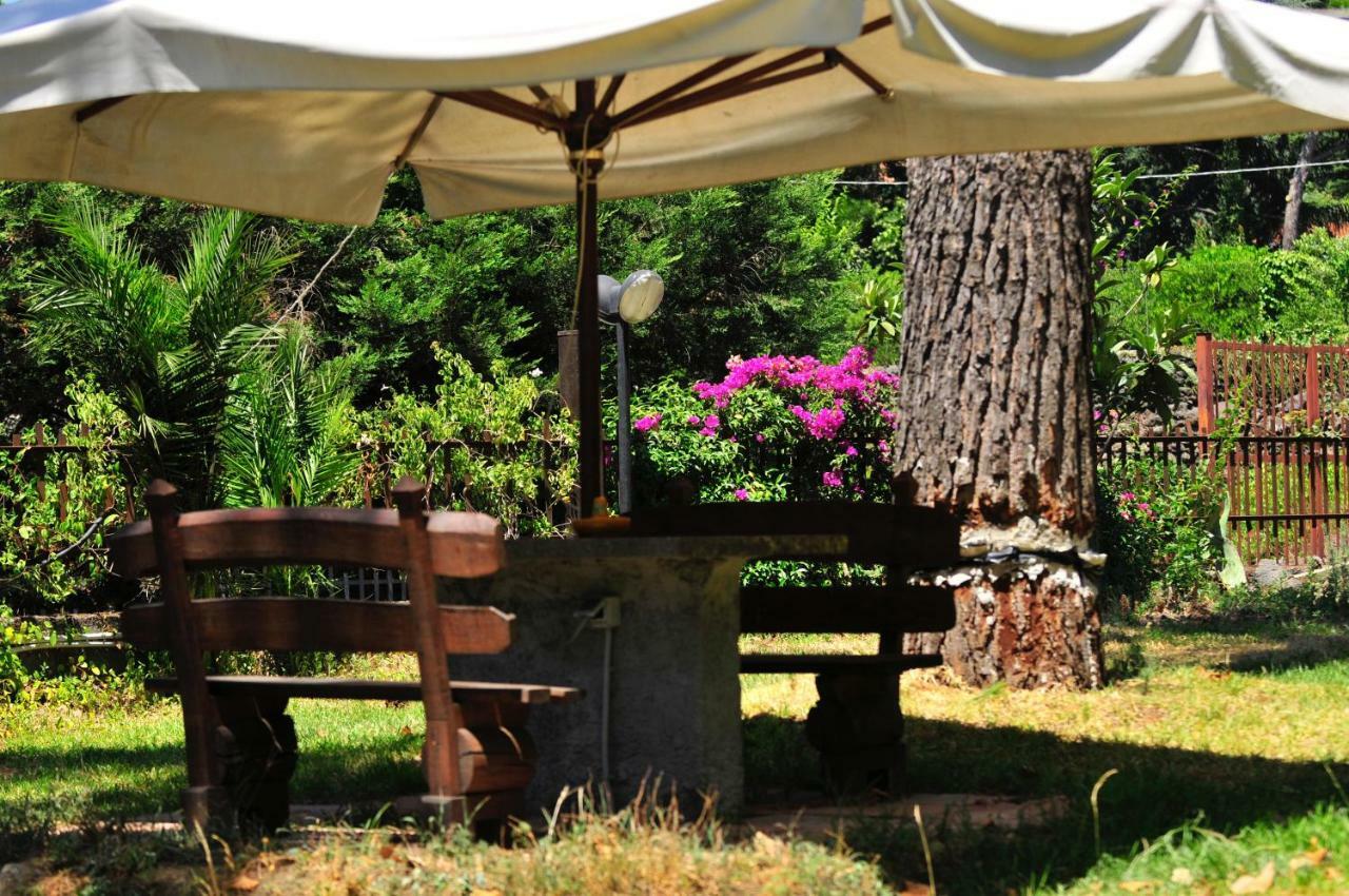 B&B Casa Di Antonio_Etna Vacanze Trecastagni Extérieur photo