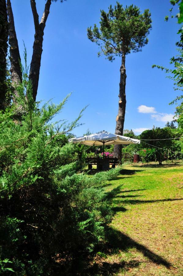 B&B Casa Di Antonio_Etna Vacanze Trecastagni Extérieur photo