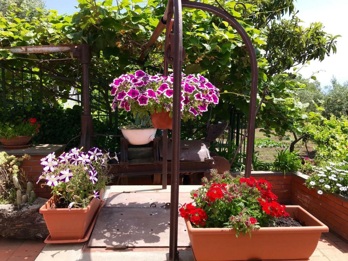 B&B Casa Di Antonio_Etna Vacanze Trecastagni Extérieur photo